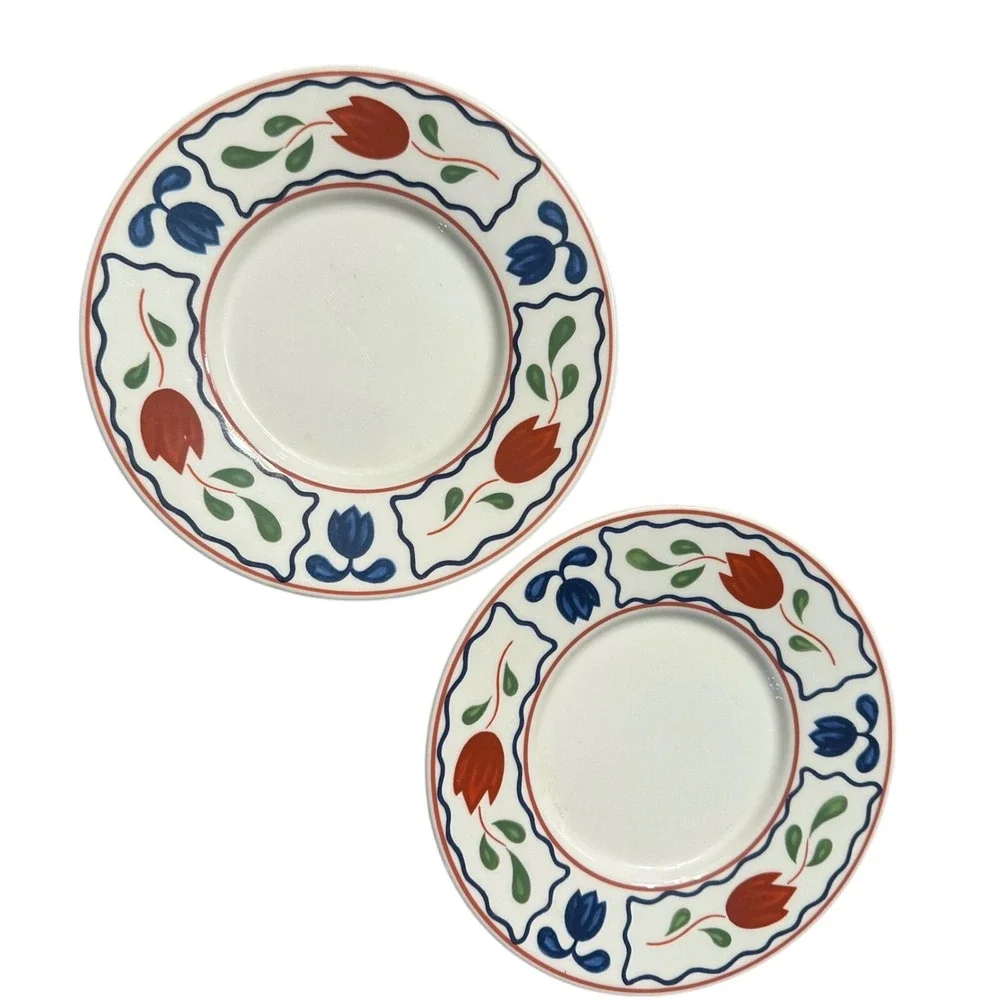 2 International‎ China Plates Vintage Red Blue Tulip Floral Semi-Porcelain Japan